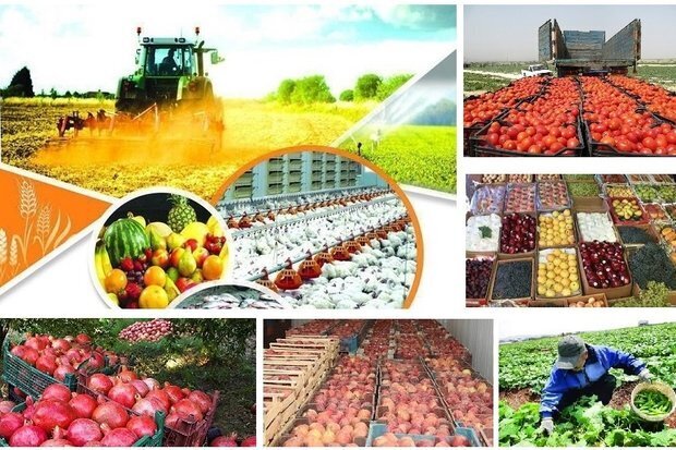 صادرات ۱.۲ میلیارد دلاری محصولات کشاورزی